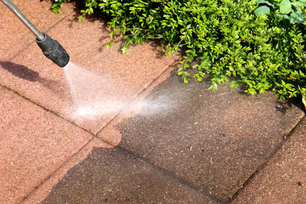 Best Pressure Washing Services for Businesses  in Wellington, CO